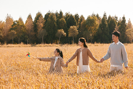 女孩在领域一家人拉着手走在稻田里背景