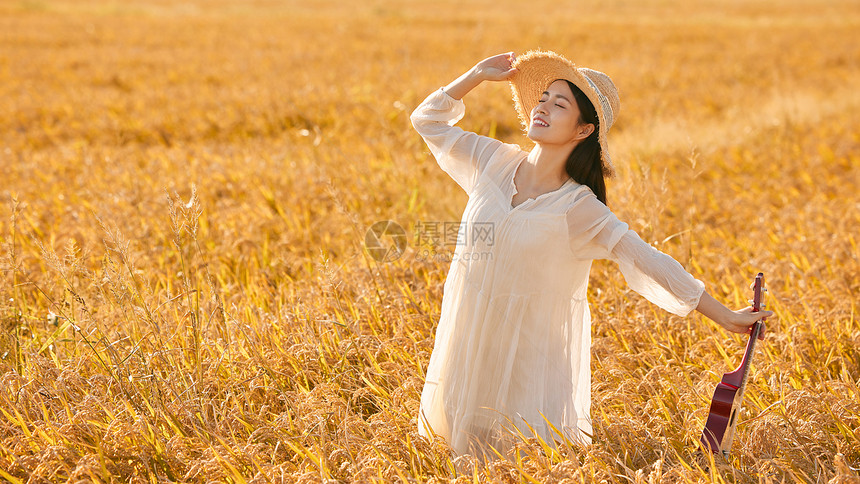 手拿尤克里里走在稻田的年轻女性图片