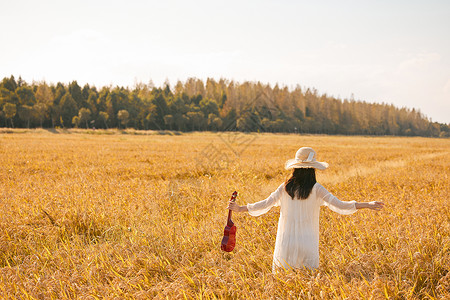吉他尤克里里手拿尤克里里走在稻田的年轻女性背景