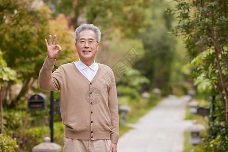 秋天游玩老年人公园散步欣赏花草背景