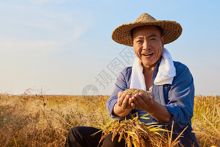 农民微笑秋天农民丰收手捧稻谷背景