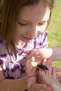 观察昆虫的女孩年轻女孩观察昆虫背景