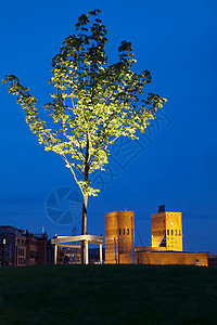 奥斯陆市政厅和树图片