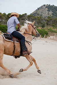 男子骑马奔驰的背影图片