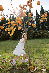 女孩在树周围奔跑图片