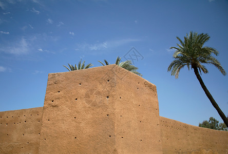 旧城墙和棕榈树背景图片