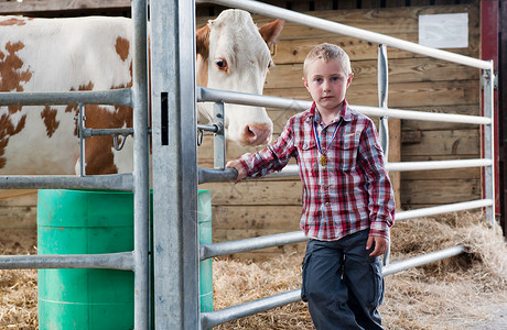 站在奶牛场外的小男孩图片
