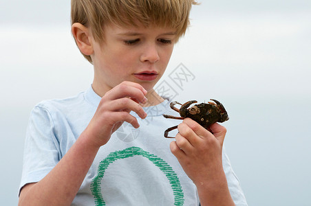 男孩见到螃蟹背景图片