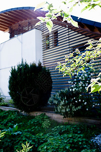 现代家庭绿色花园图片