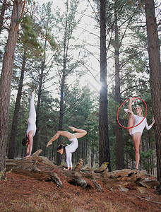 舞者在树干上起舞图片