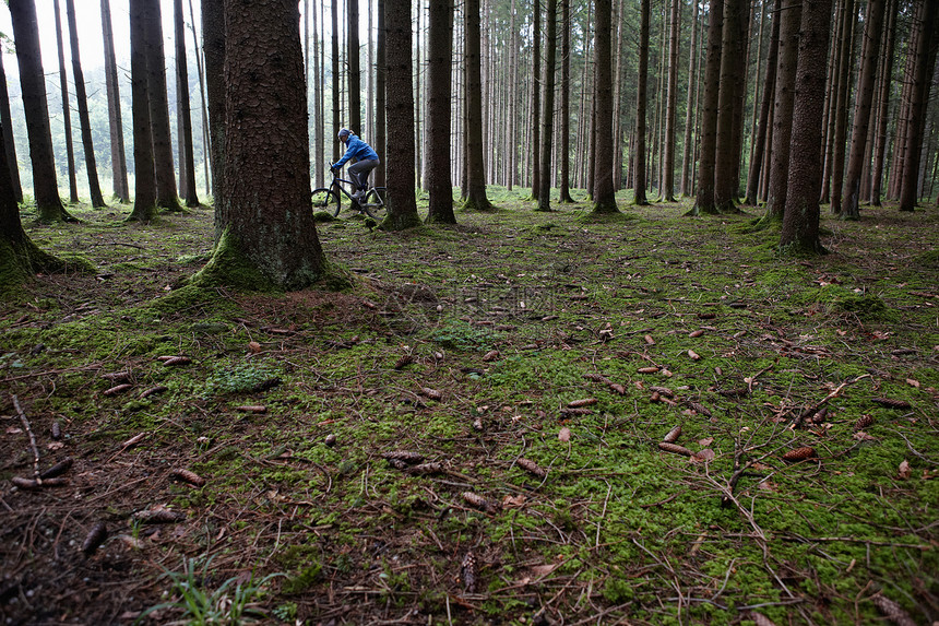人类在森林中骑自行车图片