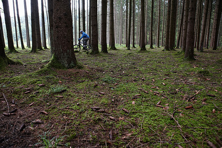 人类在森林中骑自行车图片