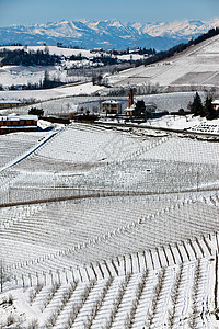 被雪覆盖的农村山坡图片