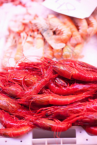 一堆红色的虾背景图片