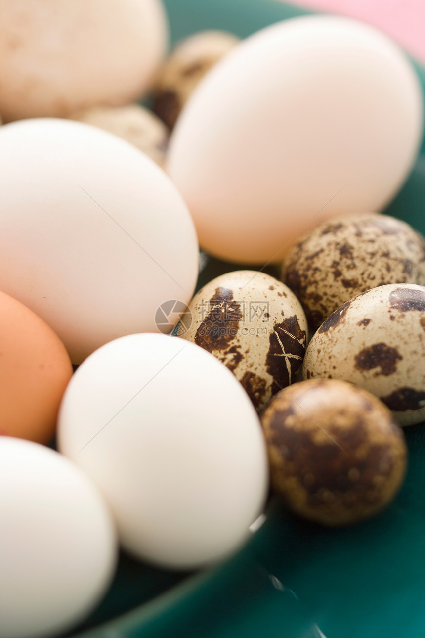 各种颜色的鸡蛋和鹌鹑蛋图片