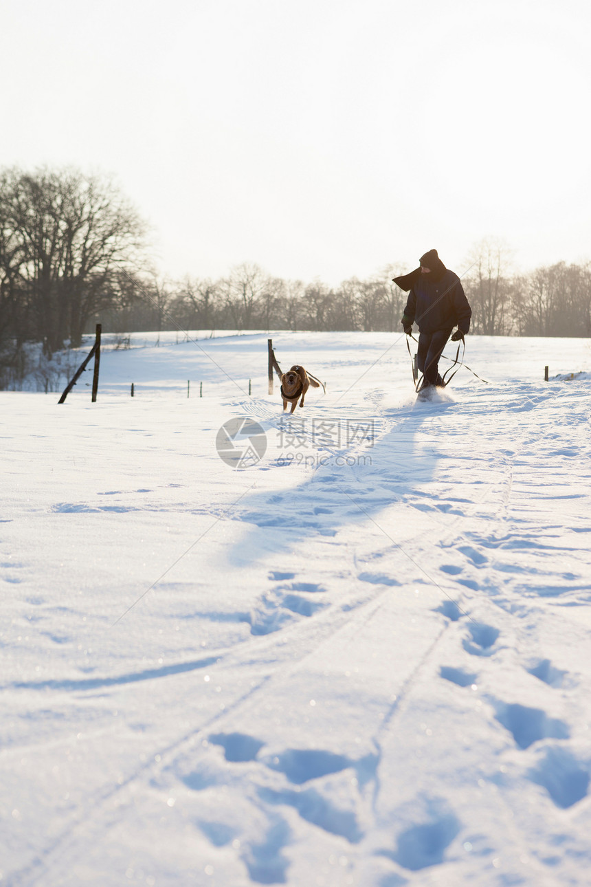 雪地上行走的男人和狗图片