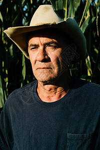 农民站在玉米田里图片