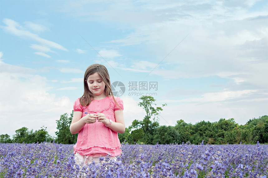 女孩站在鲜花田里图片