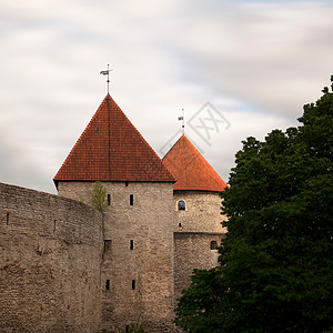 中世纪带有树的城墙图片