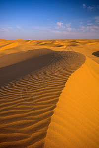 沙丘的波纹图片