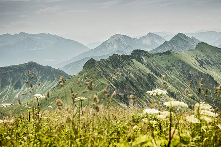 阿肯基尔田园草地背景