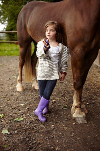 小女孩在给马梳毛背景图片