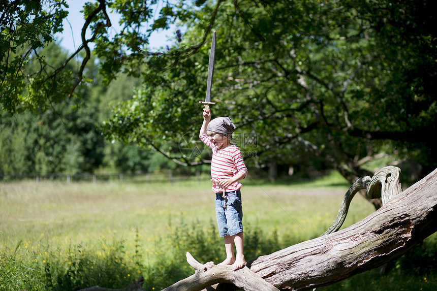 穿着海盗服装的男孩在树上玩图片