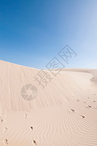 沙漠景观图片