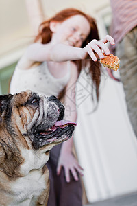 女孩给狗吃饼干图片
