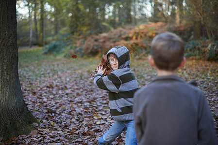 男孩向朋友扔叶子图片
