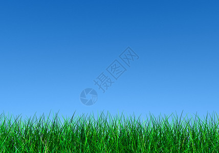 蓝天下的绿草背景图片