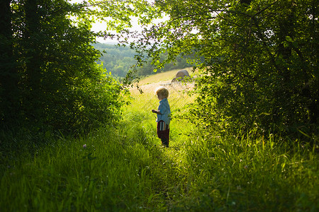一个男孩站在森林里图片