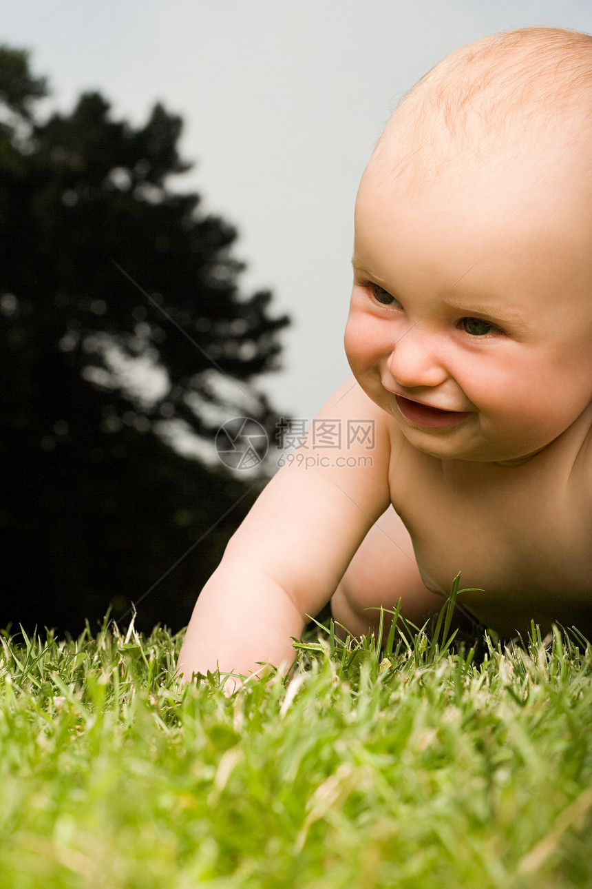 婴儿爬在草地上图片