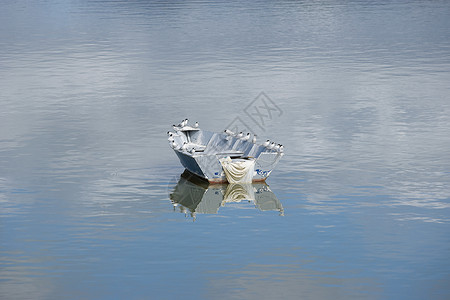 群岛湾划船和海鸥图片