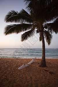 海滩上的独木舟和棕榈树图片
