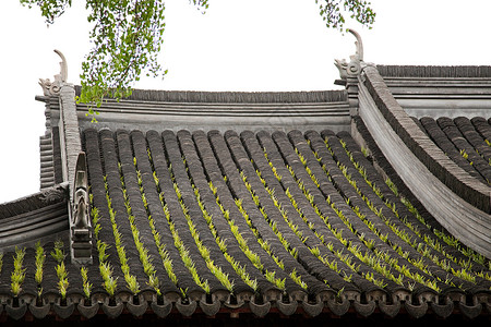 上海玉园楼顶屋高清图片
