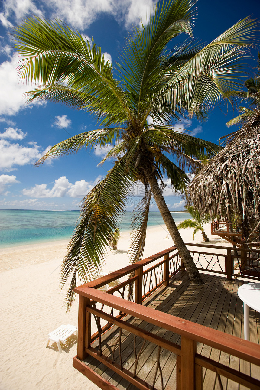 库克群岛海滩小屋和棕榈树图片