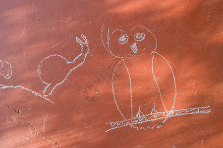 粉笔绘画的猫头鹰和蜗牛图片