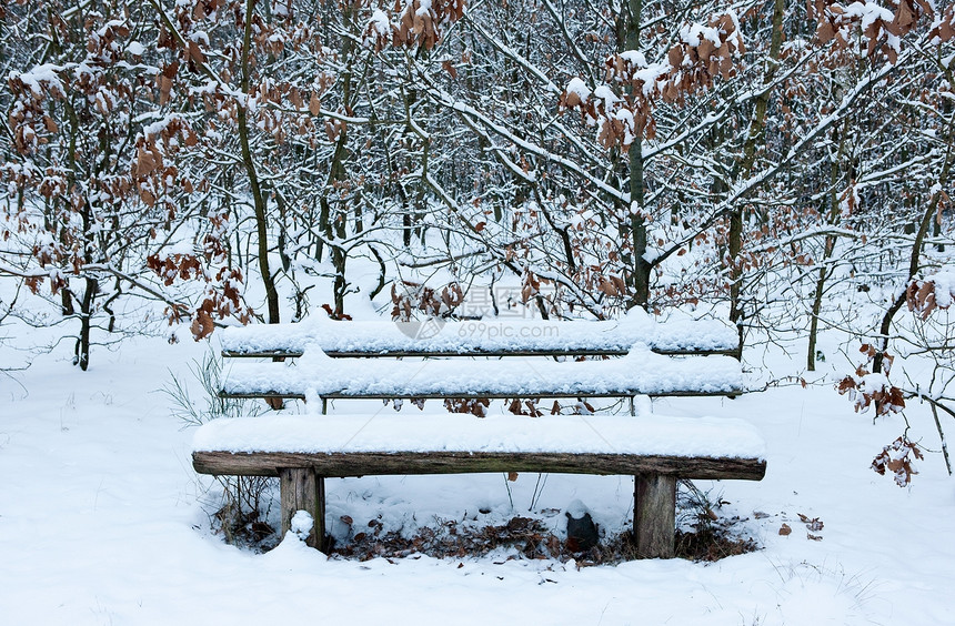 被雪覆盖的座椅图片