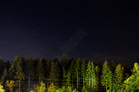 夜晚的树和夜空高清图片