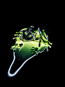 透明绿色青蛙背景图片