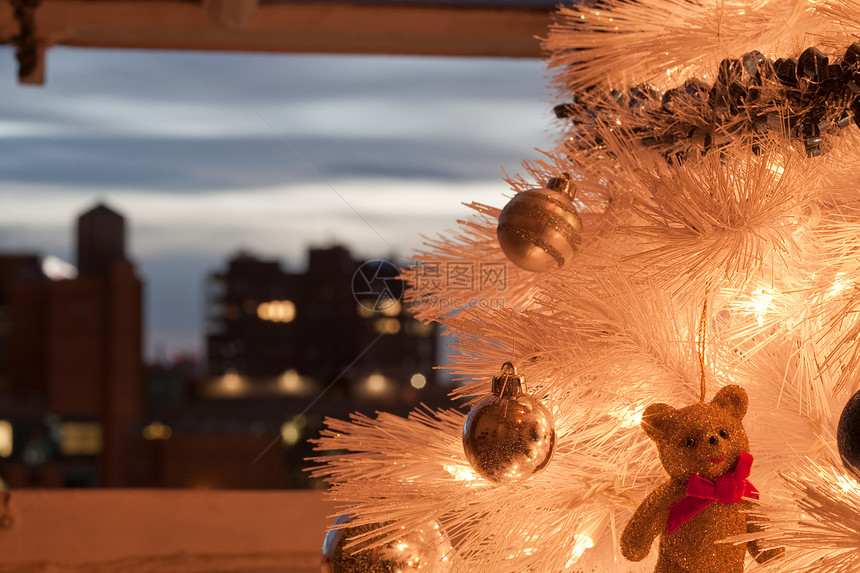 泰迪在圣诞树上佩戴装饰图片