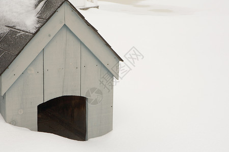下雪时的狗窝背景图片