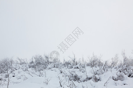 雪中的阿尔卑斯山图片
