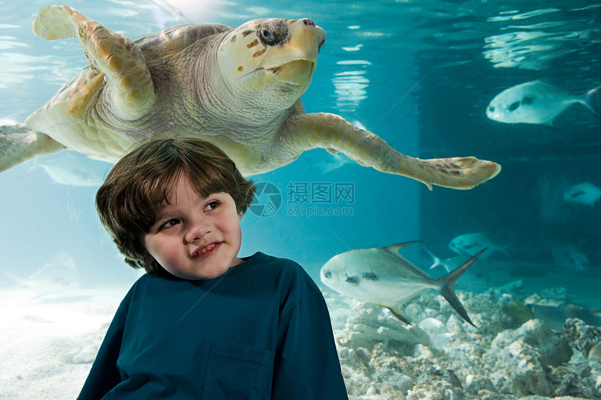 水族馆海龟面前的男孩图片