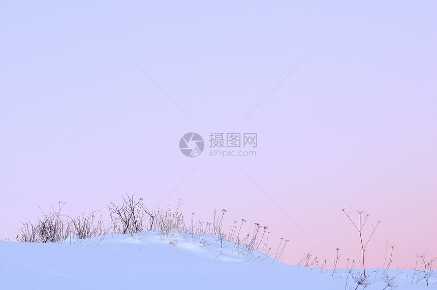 覆盖雪的草地图片