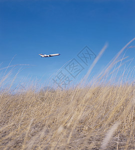 飞机越草地行图片