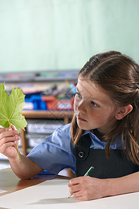 学生女孩拿着铅笔在课堂上观察叶子图片