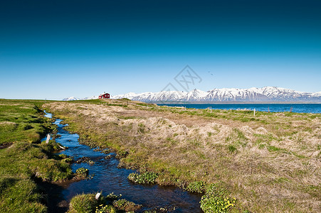 冰岛达尔维克图片
