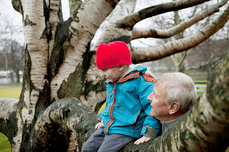 祖父和男孩坐在树枝上图片